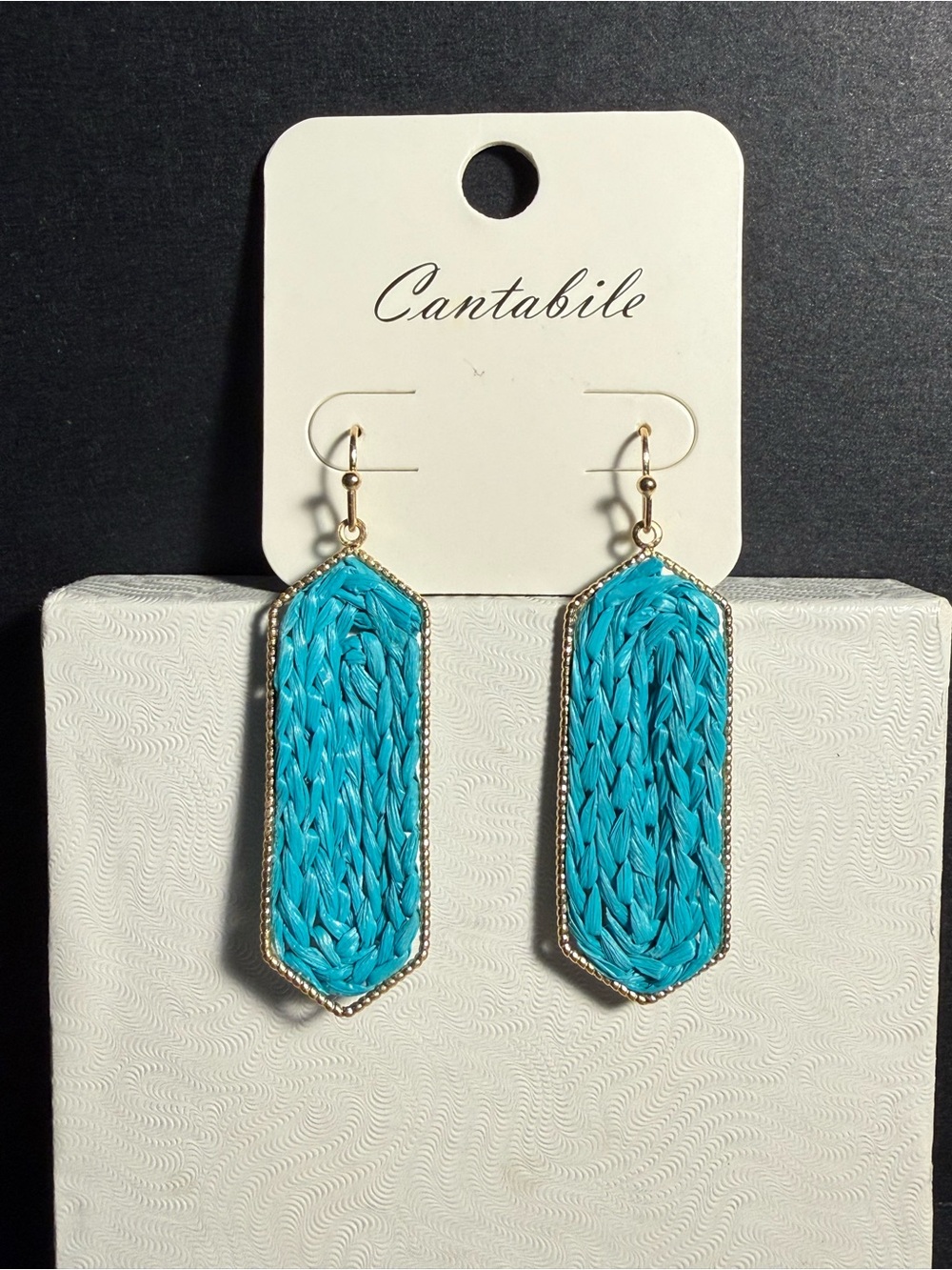 Turquoise Braided Drop Earrings with Gold Trim